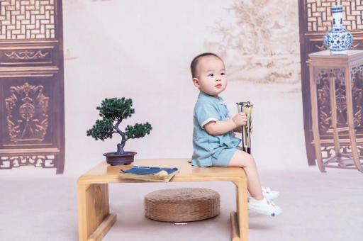 丽水可爱的企鹅宝宝